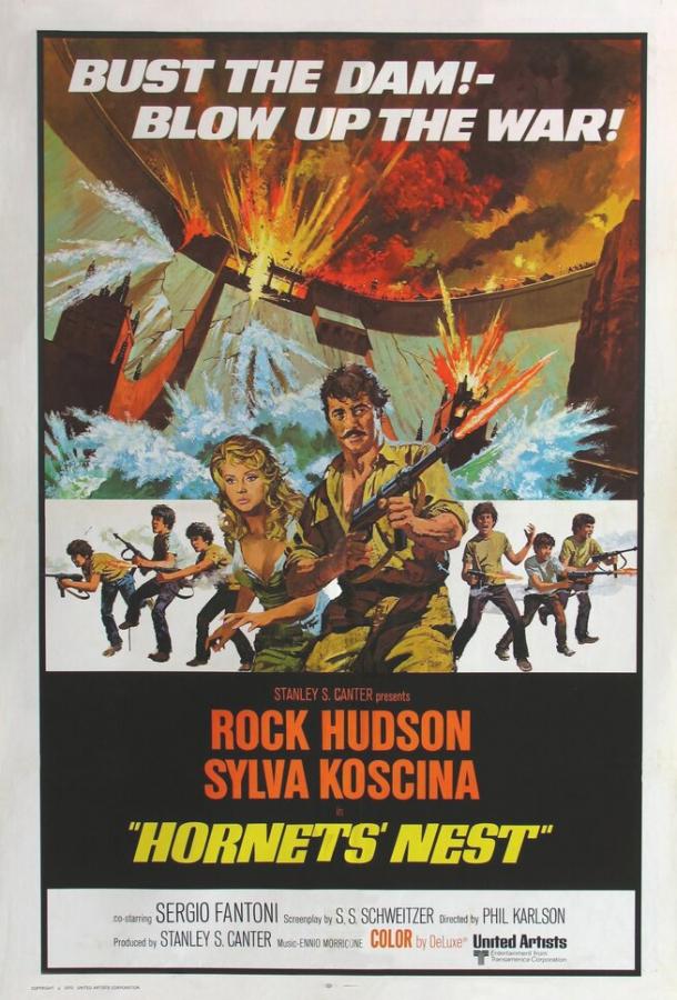 Смотреть Гнездо шершней